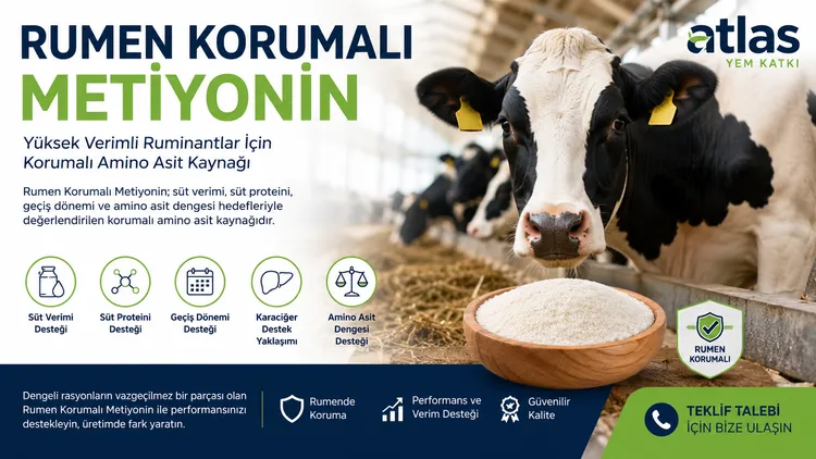 Rumen Korumalı Metiyonin