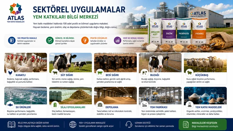 Yem Hijyen Katkıları ile Salmonella Risk Yönetimi